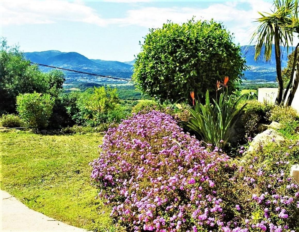 Casa Di L'alivetu Hébergement de vacances